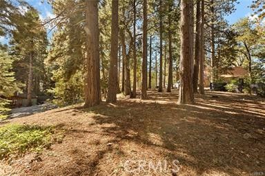 Property Photo:  0 Valley View  CA 92382 