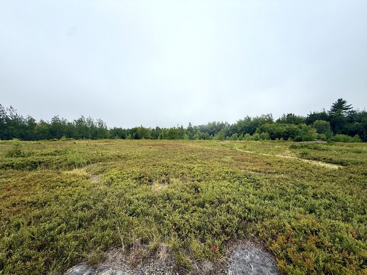 Property Photo: Lot 12A US-1 ME 04607