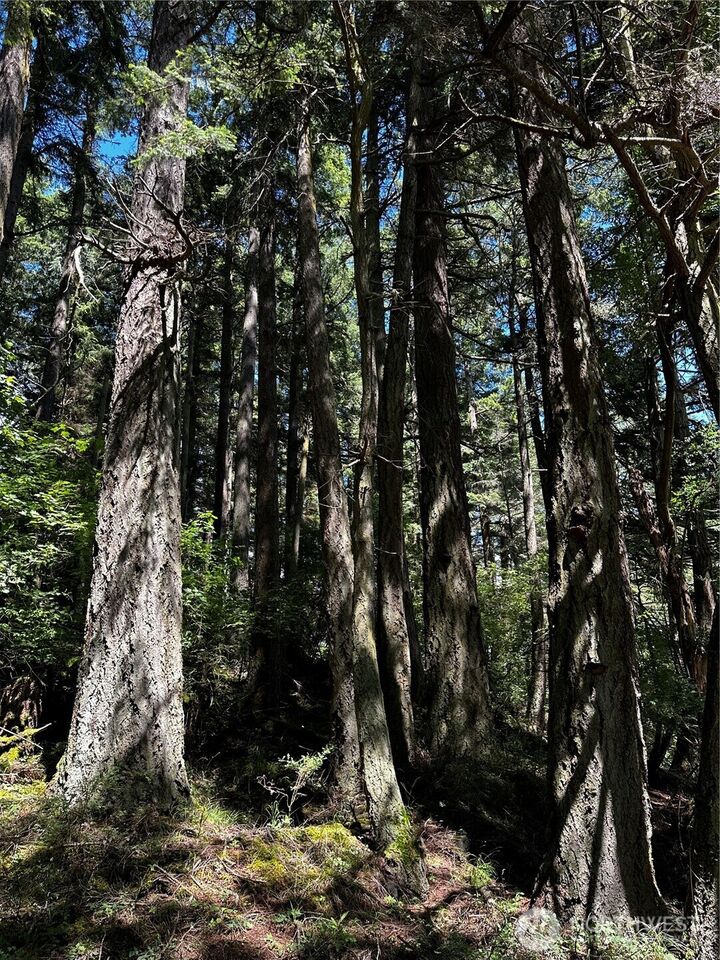 Property Photo:  808  Stoney Point Road  WA 98245 