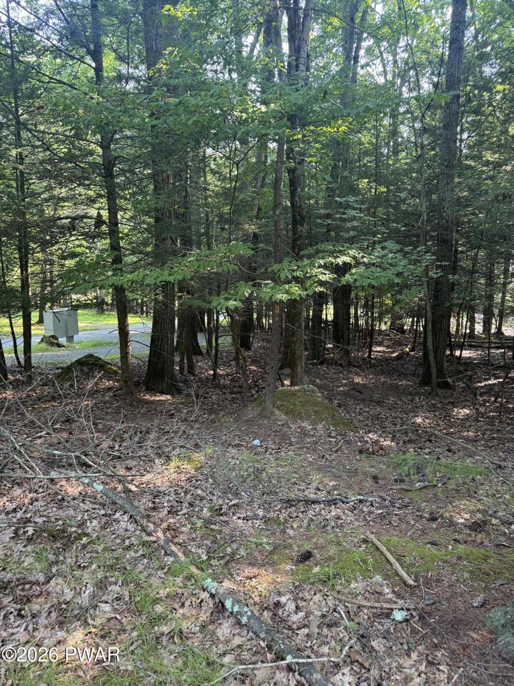 Property Photo: Lakeshore Drive PA 18438