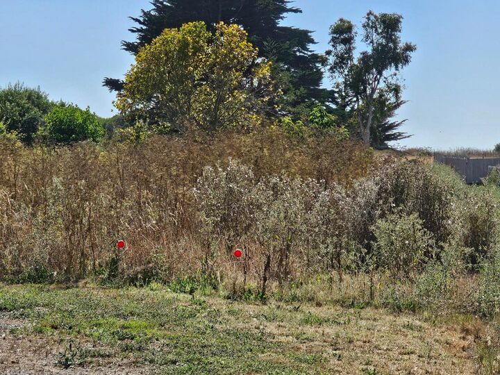 Property Photo:  00 Marinero  CA 94019 