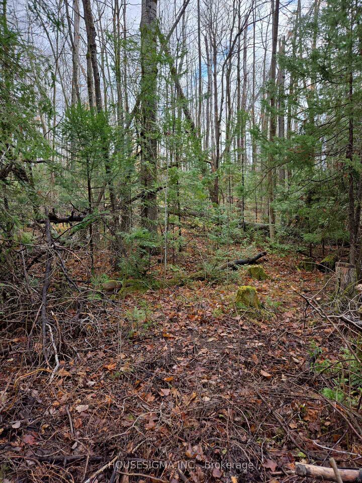 Property Photo: Pt Lt 3 Concession 8 Pt 123 N/A ON K0L 1V0