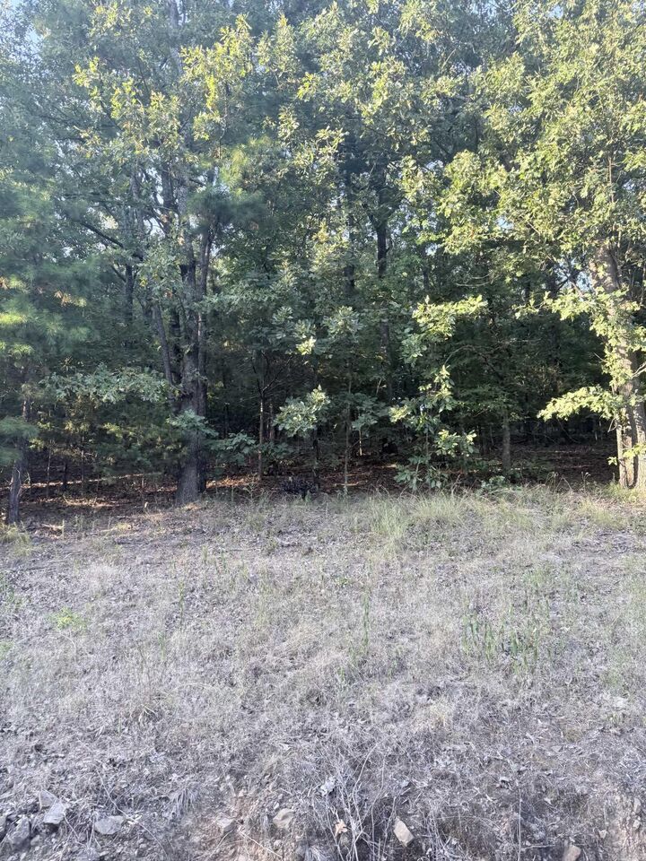 Property Photo:  Lot 14 Ridge  AR 72106 