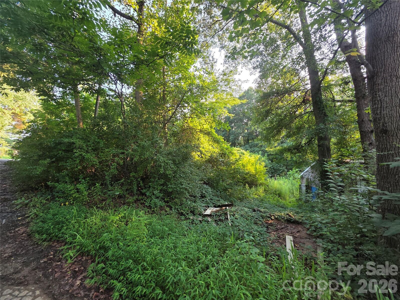 Property Photo:  0 N Poplar Street  NC 28034 