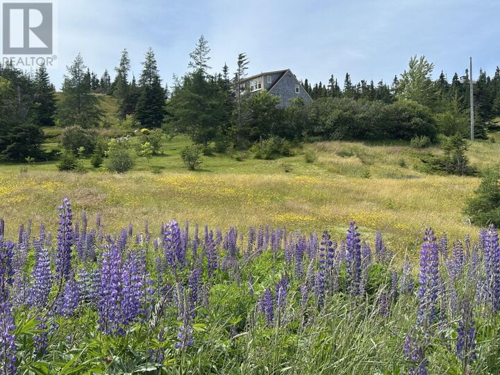 Property Photo: 32 Mill Road NL A0C 2H0