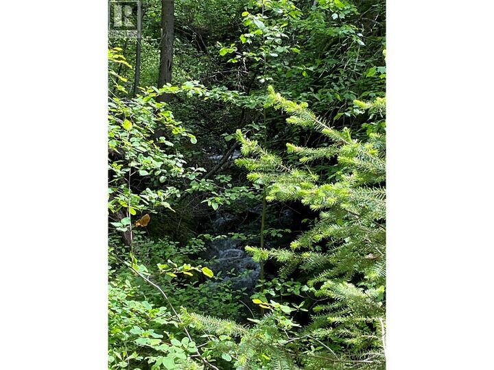 Property Photo:  Lot 1 Nicholson Creek Road  BC V0H 1Y0 