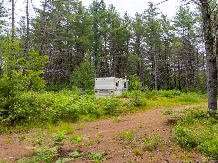 Lot Graham Road — photo 1