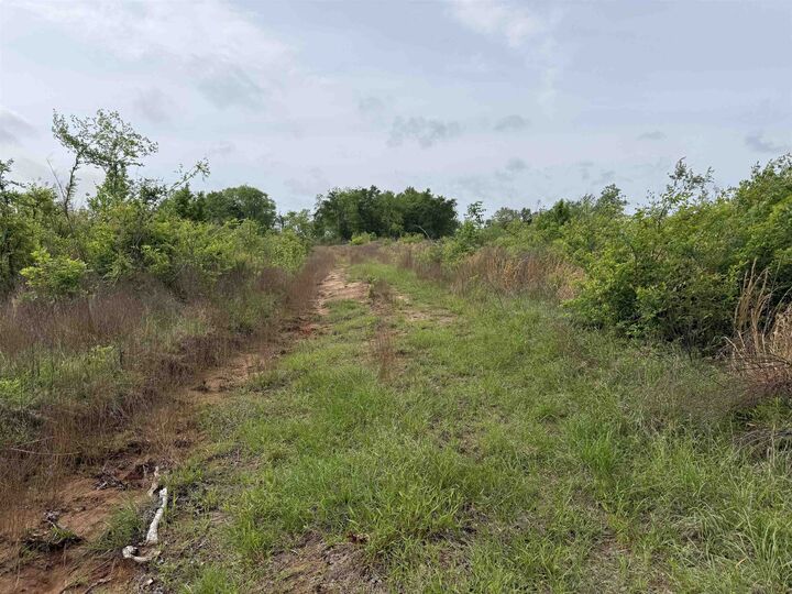Property Photo:  Cr 347  TX 75652 