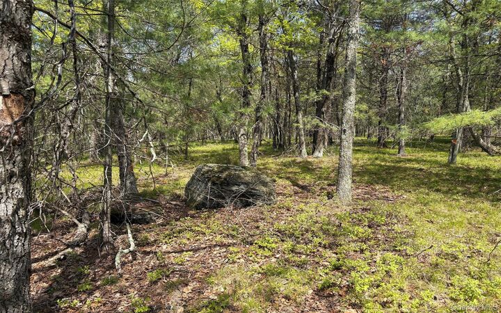 Property Photo:  Route 28A  NY 12443 