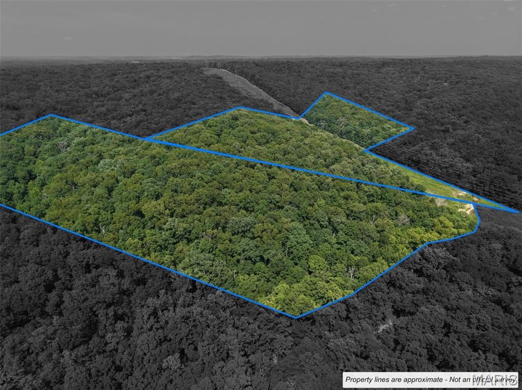 Property Photo:  41 Acres Whittaker Road  MO 63036 