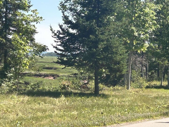 Property Photo:  Highway 2  NS B0M 1L0 