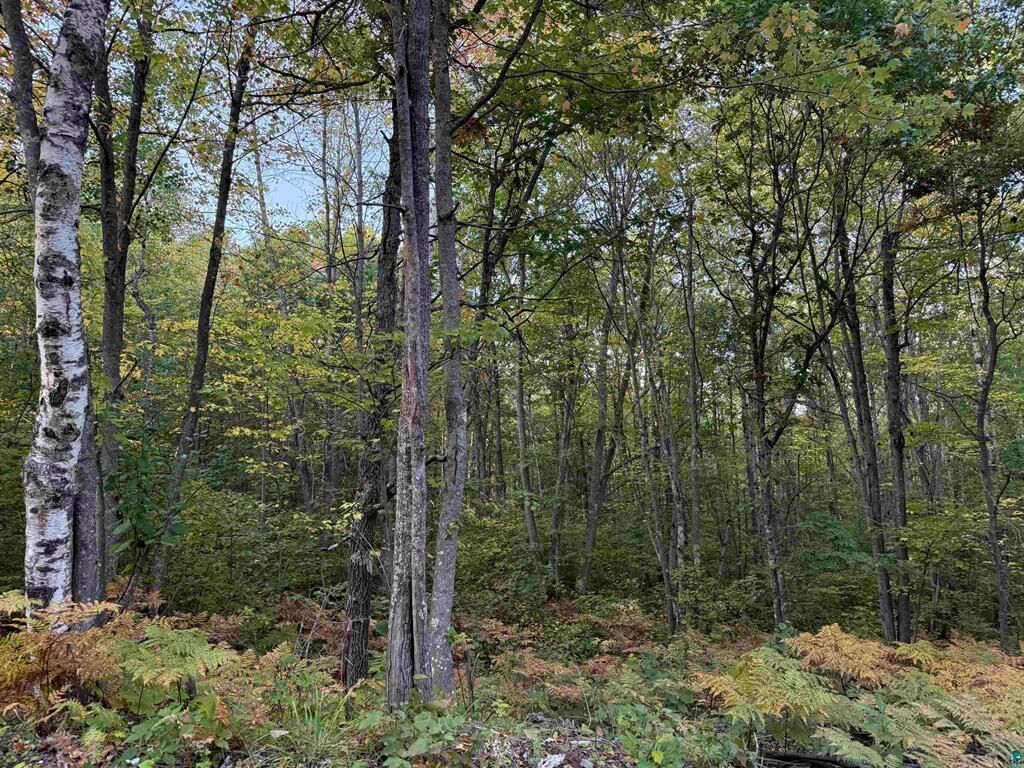 Property Photo: 000 Hwy 2 WI 54847
