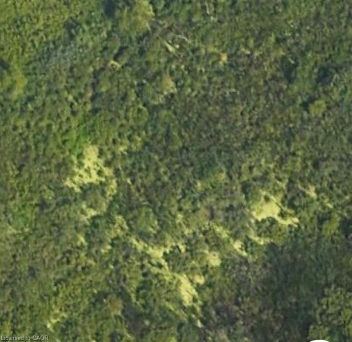 Property Photo:  N/A Regional Rd 46 Road  ON N1R 5S3 