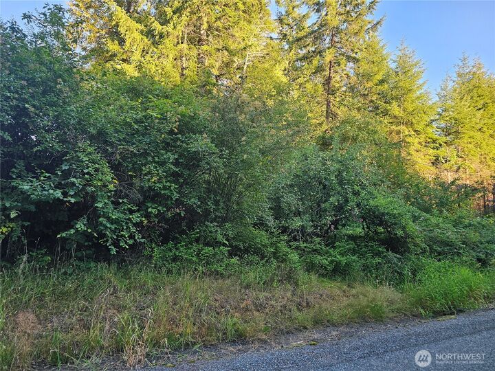 Property Photo: 236 Porter Creek Road WA 98541