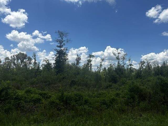Property Photo:  0000 Piney Point Lane  TX 77708 