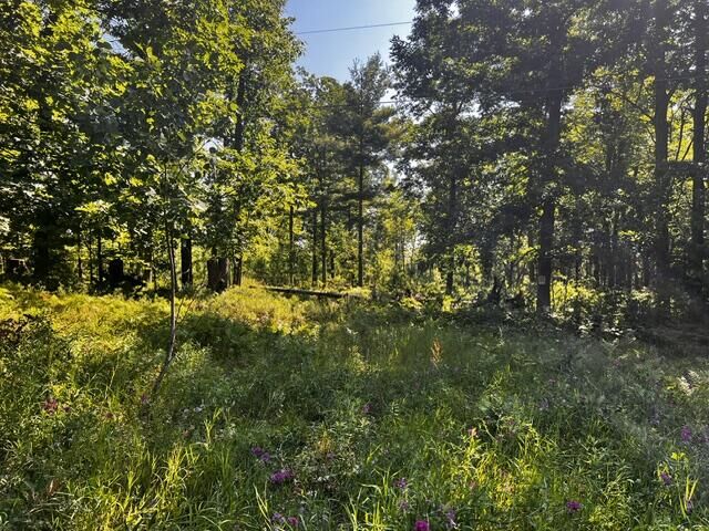 Property Photo:  36+/-Acres S Extension Road  MI 49791 