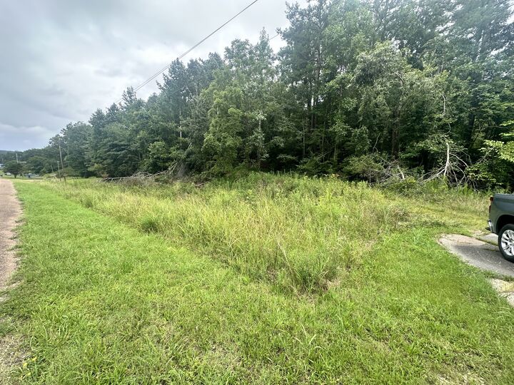 Property Photo:  0 Hwy 64 West  TN 38485 
