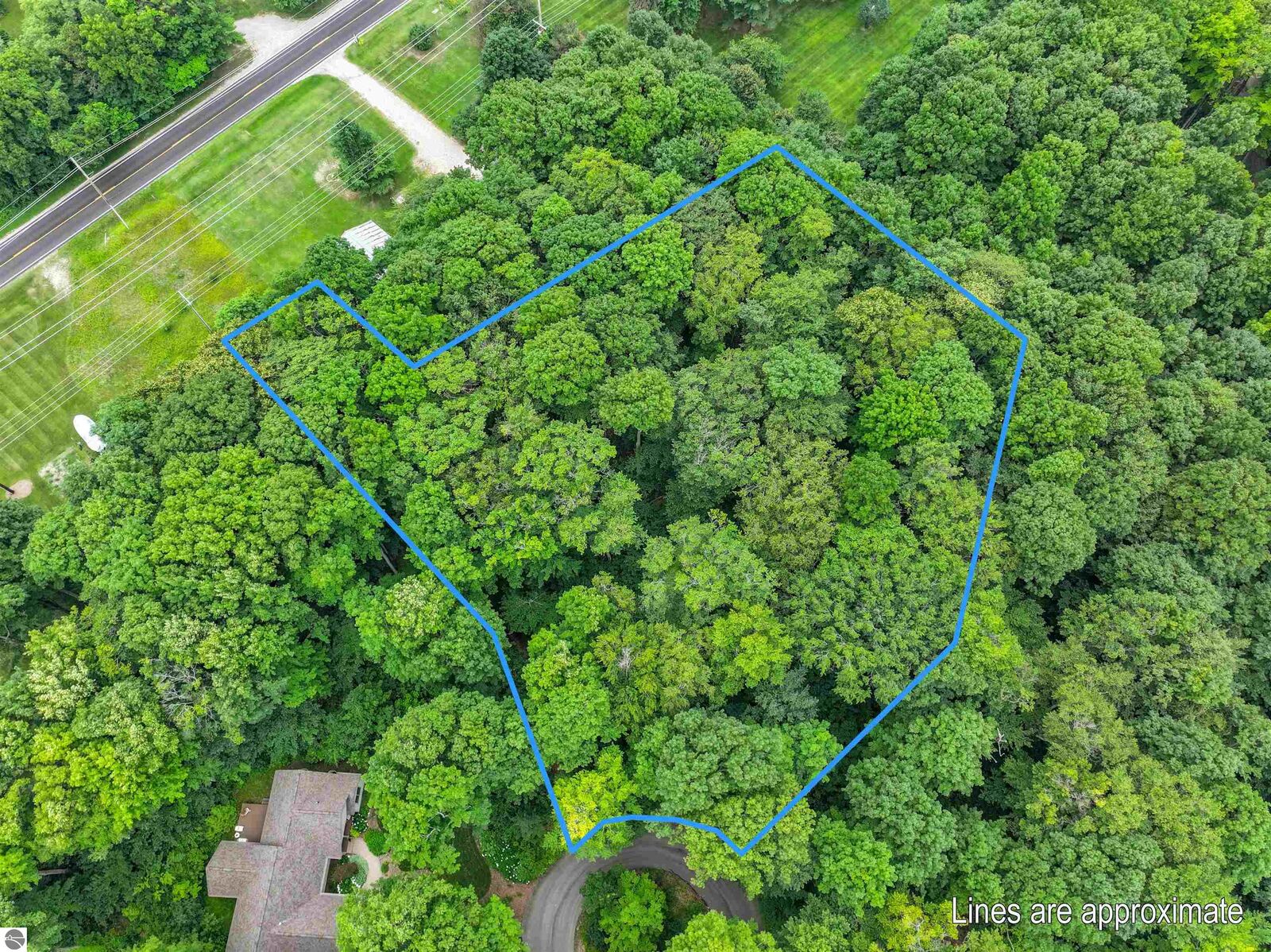 Property Photo: 5400 Wild Berry Trail MI 49685