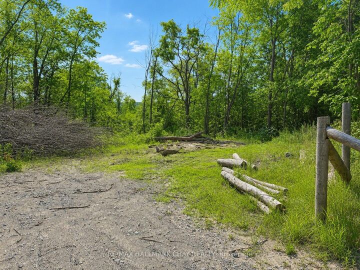 Property Photo:  241 Mountain Avenue  ON L0K 2C0 
