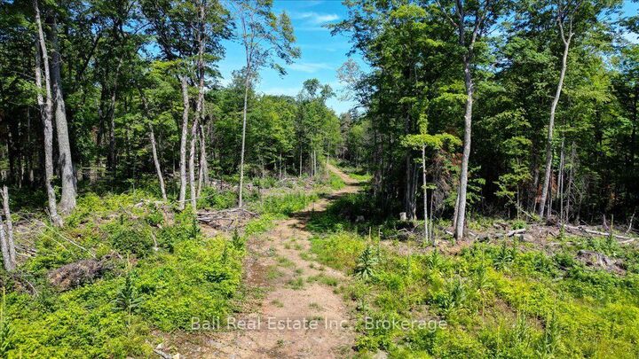 691 Bush Road — photo 1