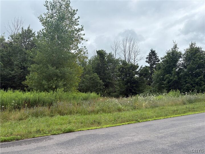 Property Photo:  Red School House Road  NY 13069 