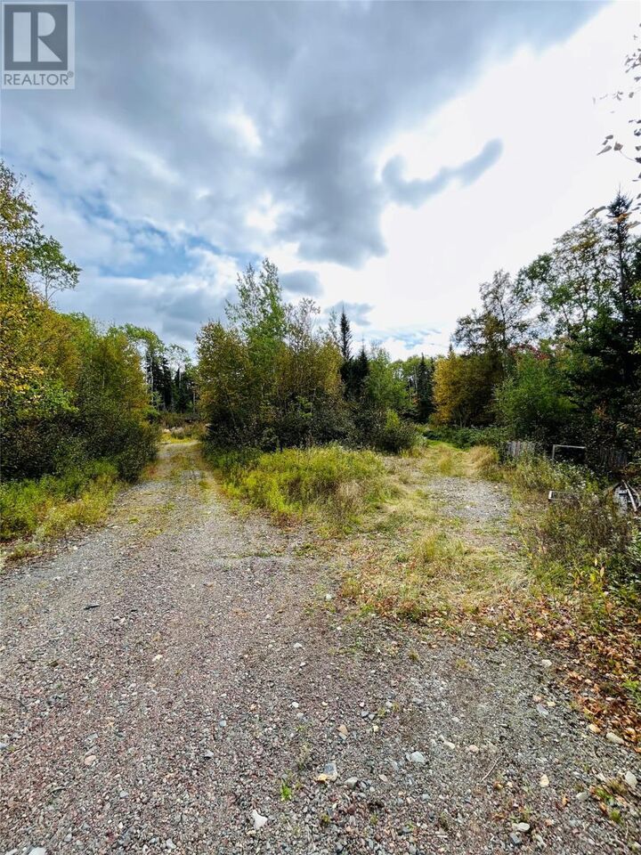 Property Photo:  117 Askels Cove Road  NL A0H 1Z0 