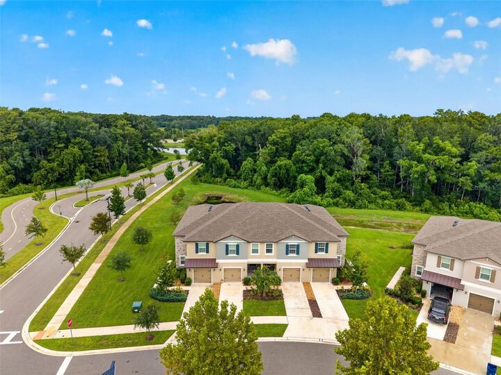 Property Photo:  17474 Nectar Flume Drive  FL 34638 