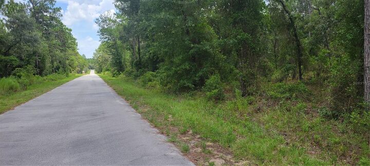 Property Photo:  0 NW Chestnut Avenue  FL 34431 