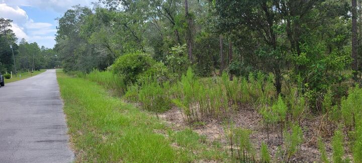 Property Photo:  0 NW Chestnut Avenue  FL 34431 