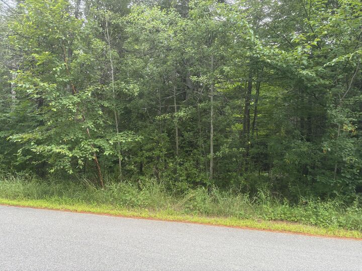 Property Photo:  M30 L1b Carson Road  ME 04619 