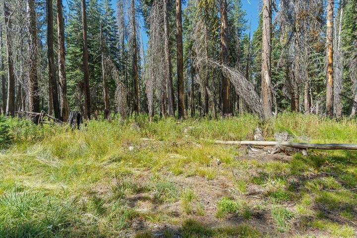 Property Photo: 20414 US Highway 50 CA 96155