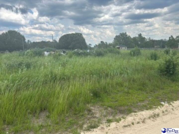 Property Photo:  2556 Shadeland Drive  SC 29547 