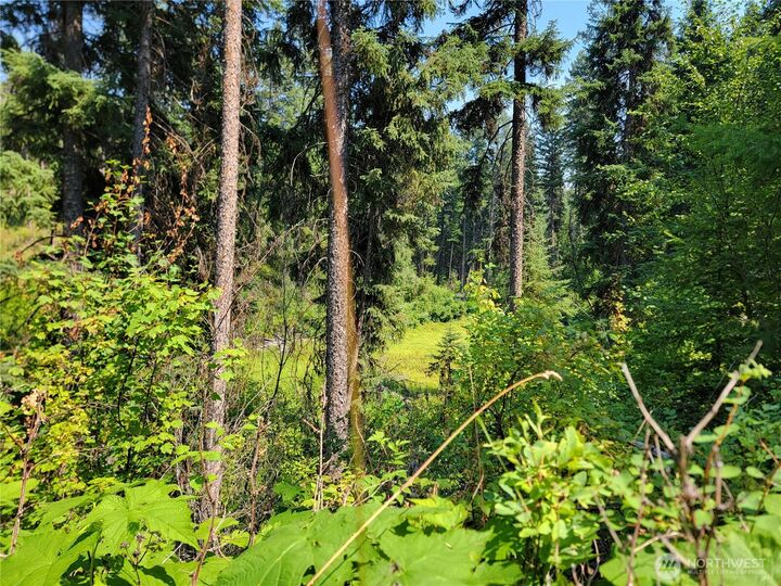 Property Photo: 181 New Hope Drive WA 99150