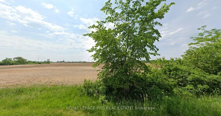 Property Photo: 9858 Nichols Lane ON L2E 6S5