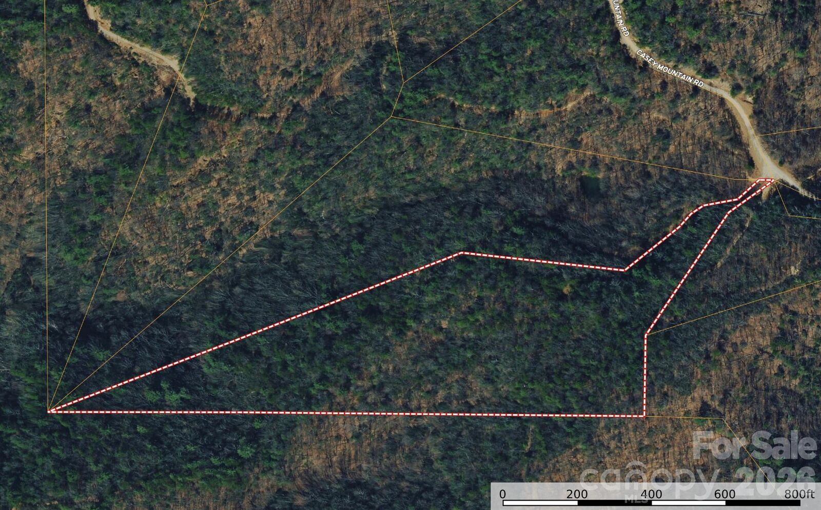 Property Photo:  Tbd Casey Mountain Road 222  NC 28665 
