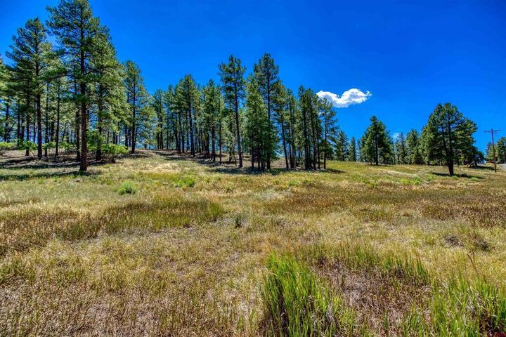 Property Photo: 233 Stagecoach Lane CO 81147