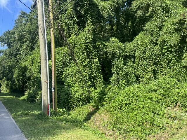 Property Photo:  8813 Gann Road  TN 37379 
