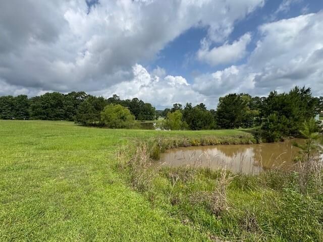 Property Photo: 37 Silver Lakes Drive TX 77340