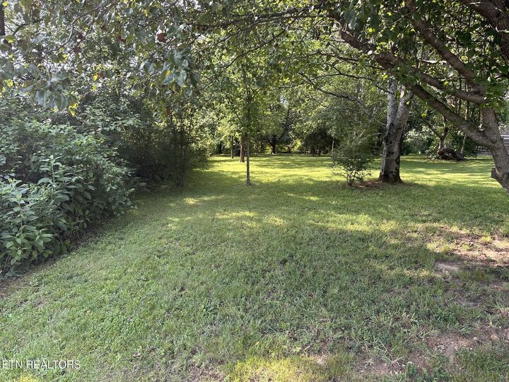 Property Photo: 135 Ogana Way TN 37774