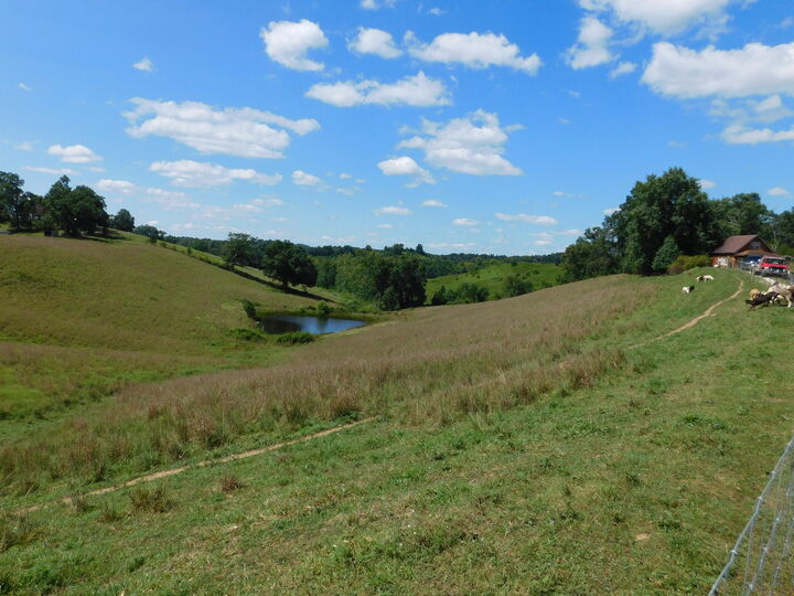 Property Photo: 390 Meeting House Branch Road KY 41425