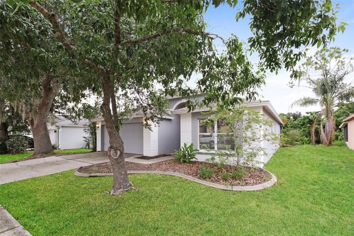 Property Photo:  823 Rocky Mountain Court  FL 33594 