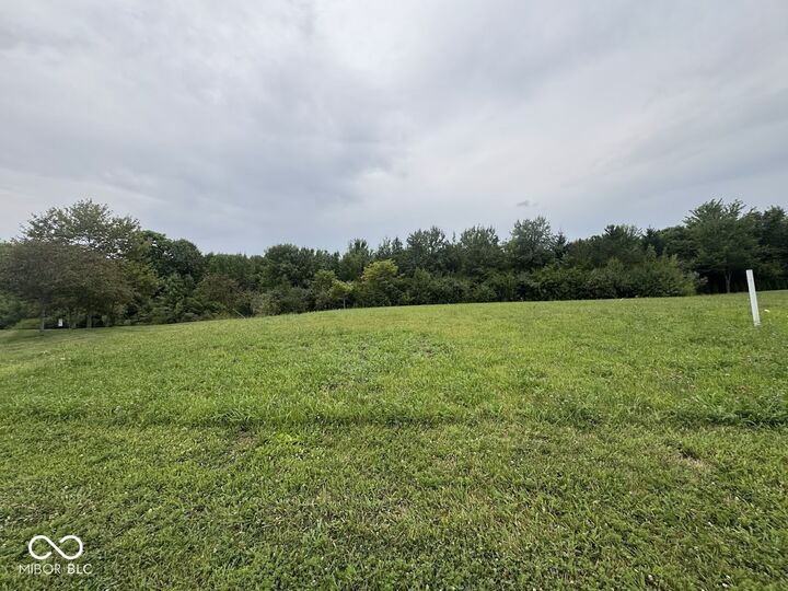 Property Photo: 10450 Woodhall IN 46032