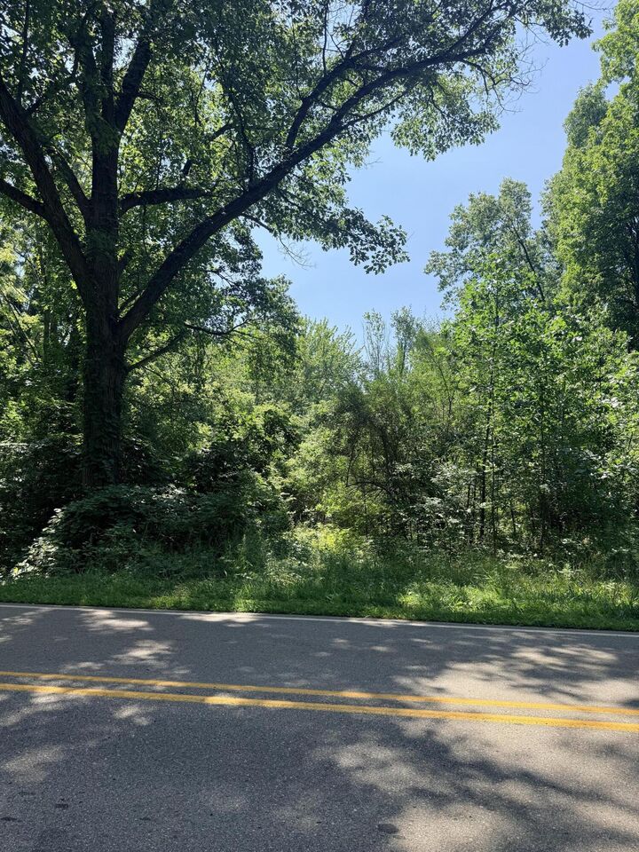 Property Photo:  V/L McCain Road  MI 49269 