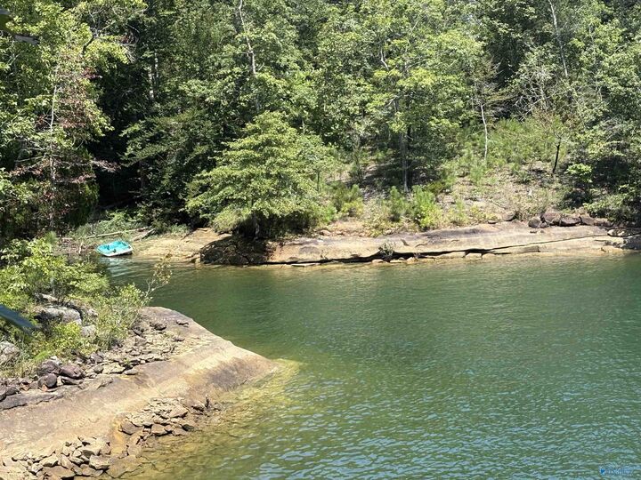 Property Photo:  41 Acres Big Bear Branch Road  AL 35553 