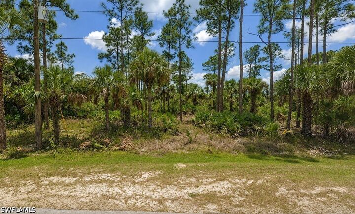 Property Photo:  Xxx 40th Avenue SE  FL 34117 