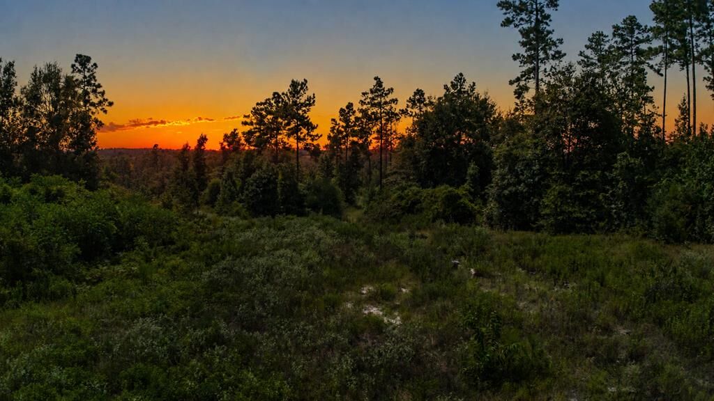 Property Photo:  R142295 Jerry Vann Rd  TX 75901 