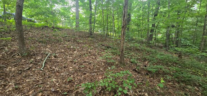 Property Photo:  Lot 9 Harris Creek Drive  GA 30540 
