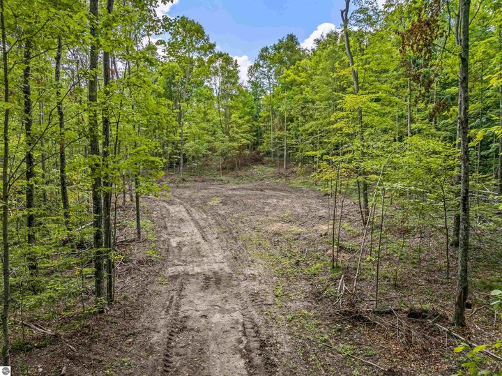 Property Photo:  00 Valencourt Road  MI 49625 