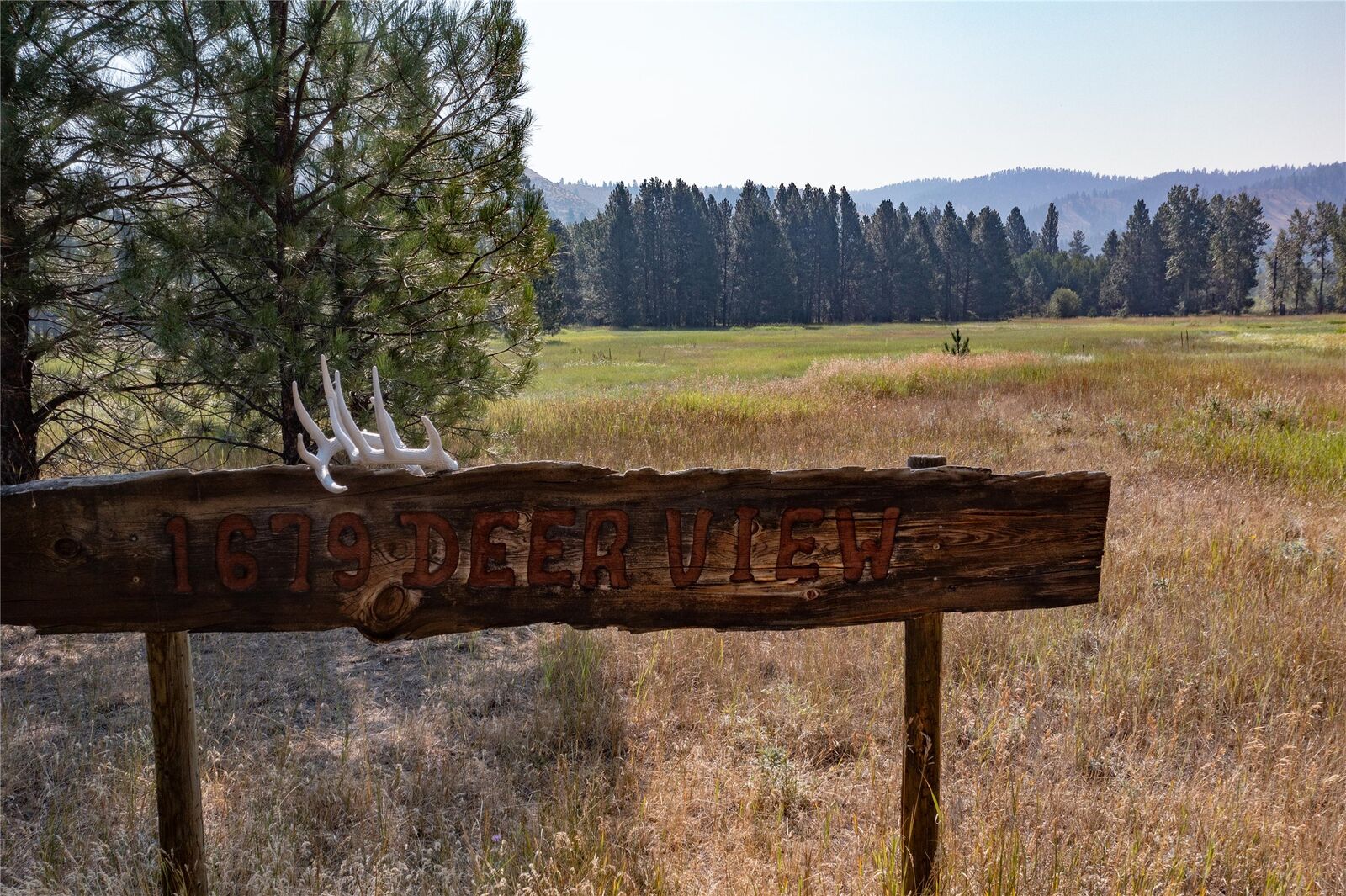Property Photo:  1679 Deer View  MT 59840 