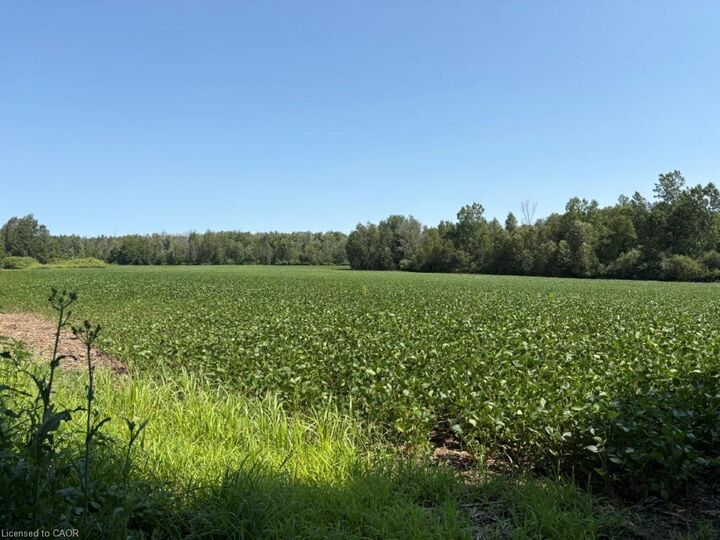 Property Photo:  1194 Concession 14 W  ON N0G 2S0 